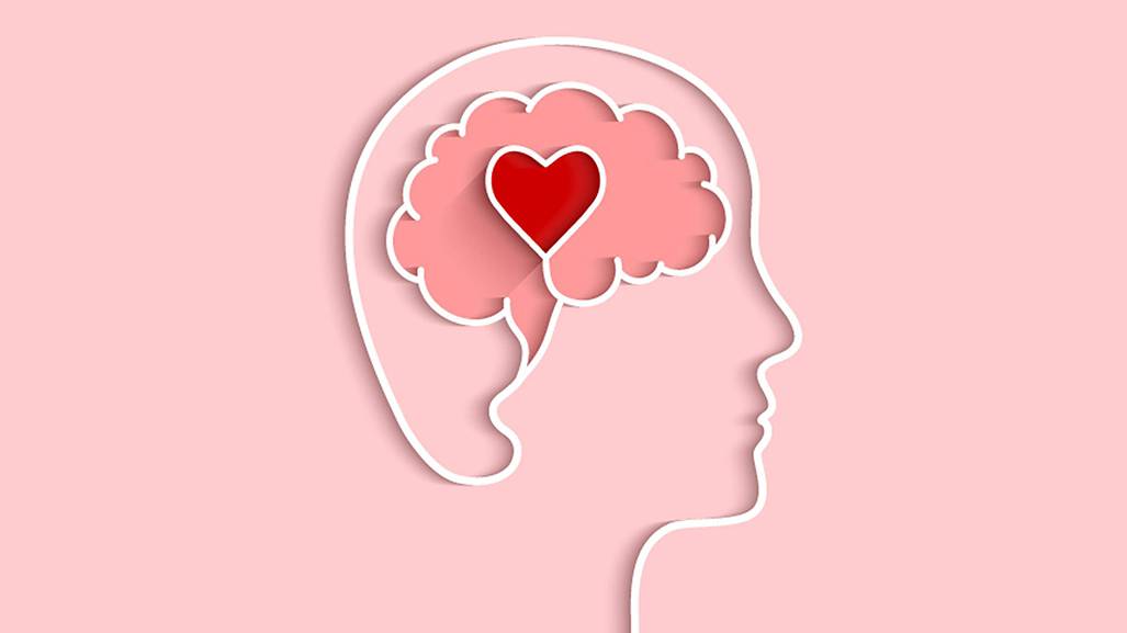 هوش هیجانی چیست ؟
